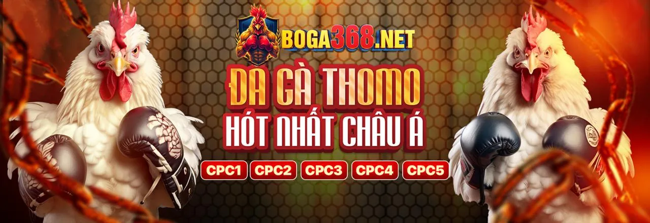 Hình ảnh về chơi có trách nhiệm tại f168m nhà cái